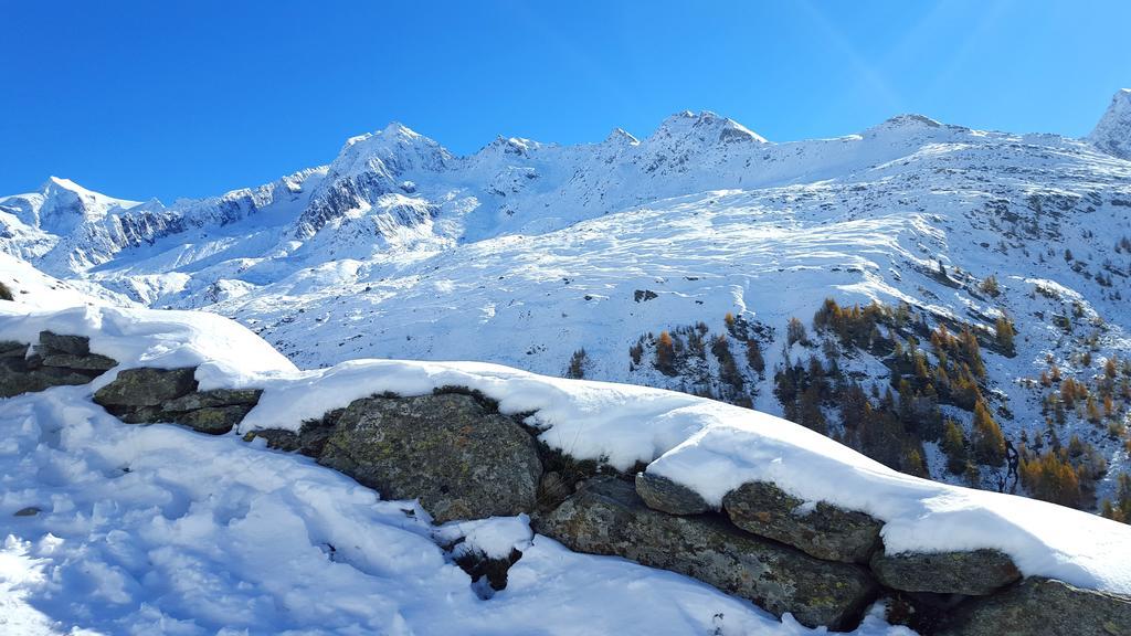 Grossstahlhof Mountain & Panorama View Leilighet Ahrntal Eksteriør bilde