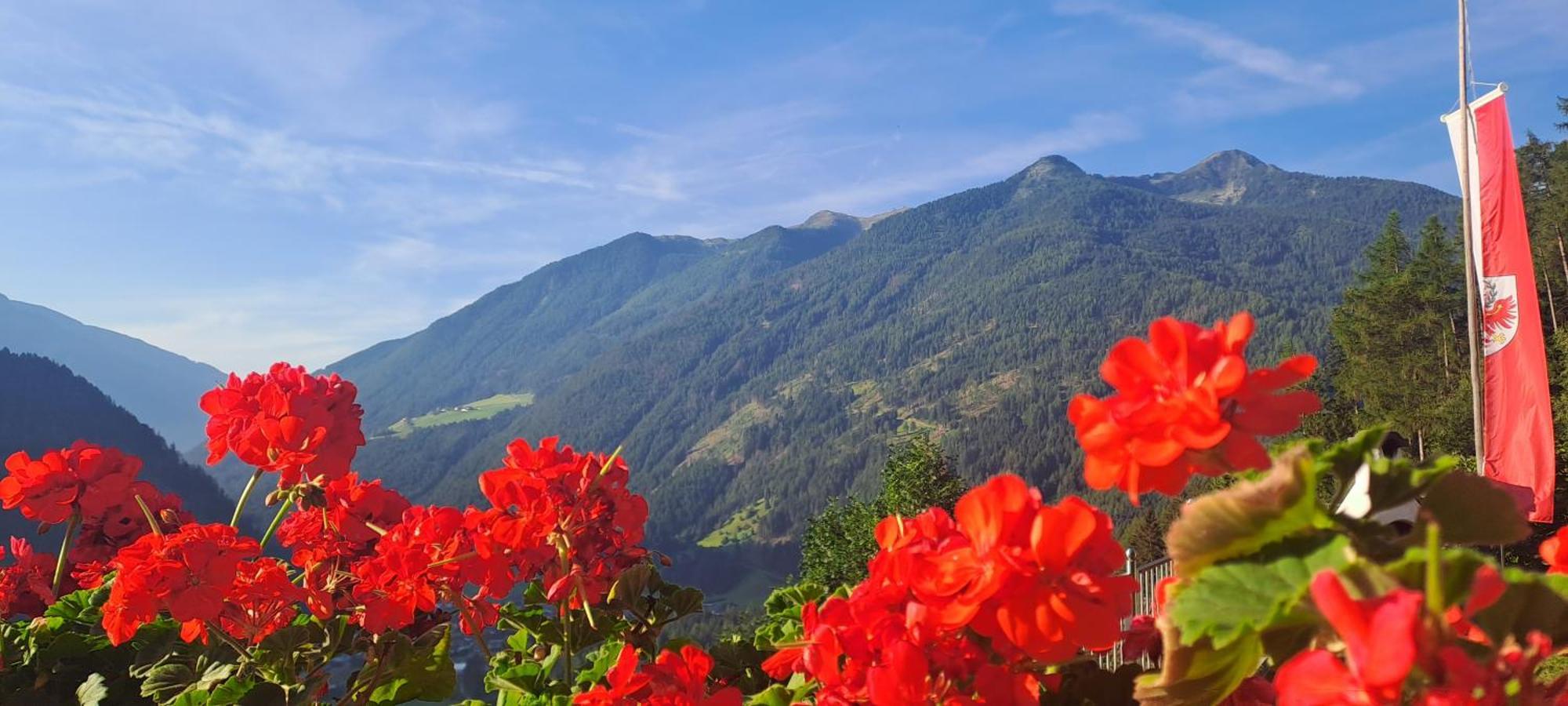 Grossstahlhof Mountain & Panorama View Leilighet Ahrntal Eksteriør bilde